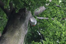 53_gc_stammtisch_43_20150506